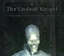 The Undead Knight