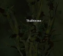 Thalbinous
