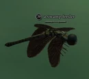 A swamp feeder