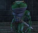 A froglok mercenary