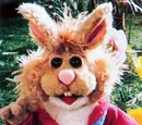 Bean Bunny