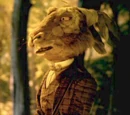 The March Hare (Alice in Wonderland)
