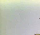 Big Bird (animated)