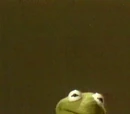 Muppet & Kid Moments: Kermit