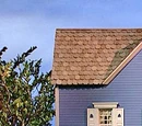 The Big Blue House