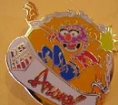 Winter Olympics pins