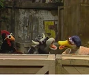 Barnyard Rap