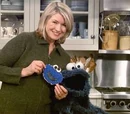 Martha Stewart Living