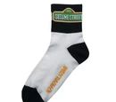Sesame Street socks (Pearl Izumi)