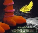 Sesame Street Unpaved (book)