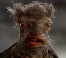 The Mock Turtle