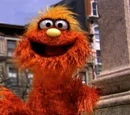 Murray