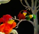 Birds in the Trees