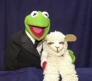 Lamb Chop