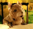 The Dormouse (Alice in Wonderland)