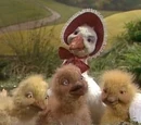 Goslings