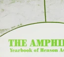 The Amphibian
