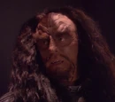 Martok (changeling)