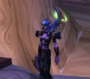 Druid of the Talon (NPC)