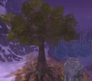 Great Tree (Crystalsong Forest)
