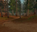 Webwinder Path