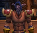 Tunic of Westfall