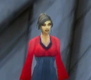 Orphan Matron Nightingale