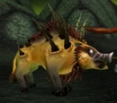 Domesticated Felboar