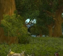 Forest's Edge