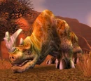 Greater Barrens Kodo