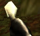 Mountain Skunk