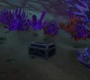 Pitted Iron Chest