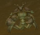 Muckshell Scrabbler