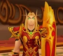 Silvermoon City Guardian