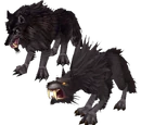 Worg