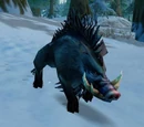 Large Crag Boar