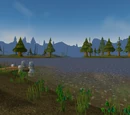 Loch