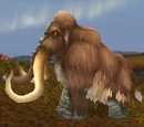 Wooly Mammoth Bull