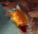 Snapjaw Grouper