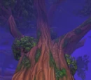 Nordrassil