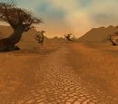 Southern Gold Road