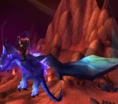Netherwing drake mounts