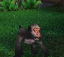 Bomb-Throwing Monkey