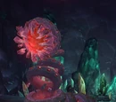 Corborus