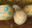 Mysterious Egg (Nagrand)