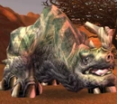 Brontus