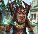 Heroes' Frostfire Garb