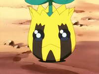 http://images3.wikia.nocookie.net/__cb57088/es.pokemon/images/b/bc/EP189_Sunkern_(5).png