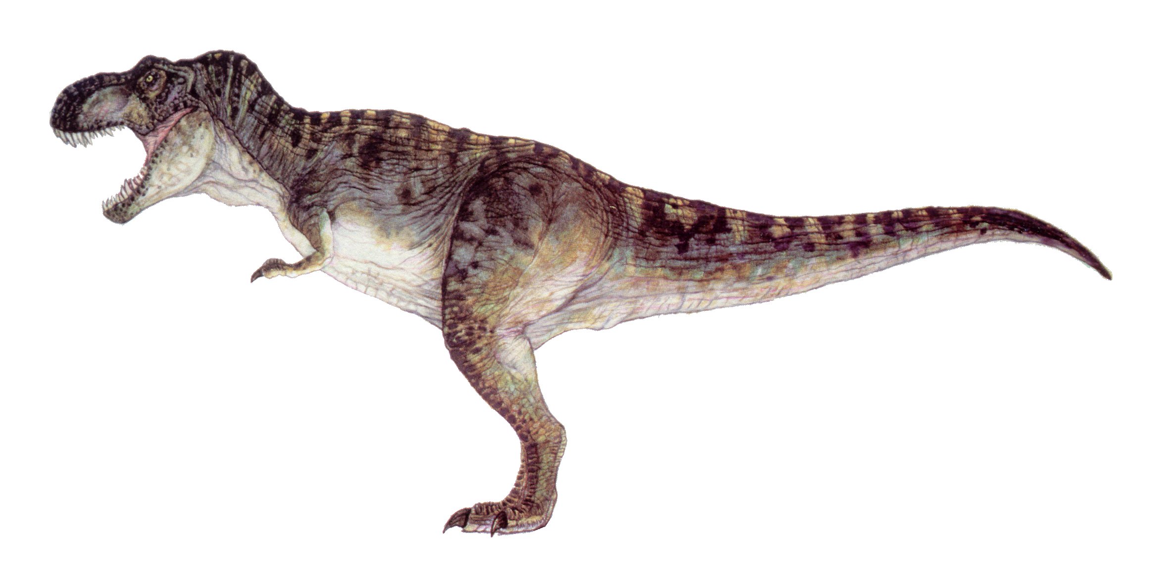jurassic world t rex head