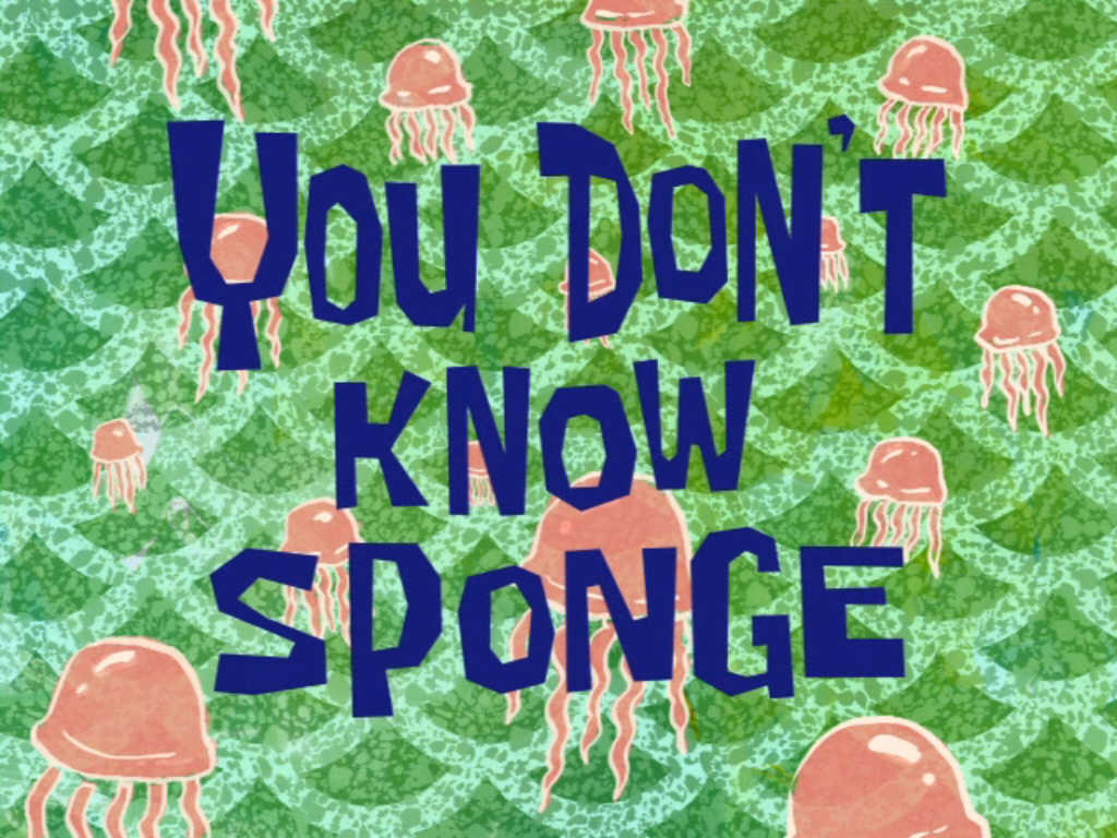 You_Don%27t_Know_Sponge.jpg